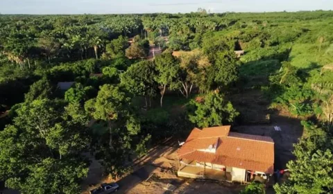 Quilombolas enfrentam fogo, seca e agrotóxicos sob ameaça de morte no Maranhão