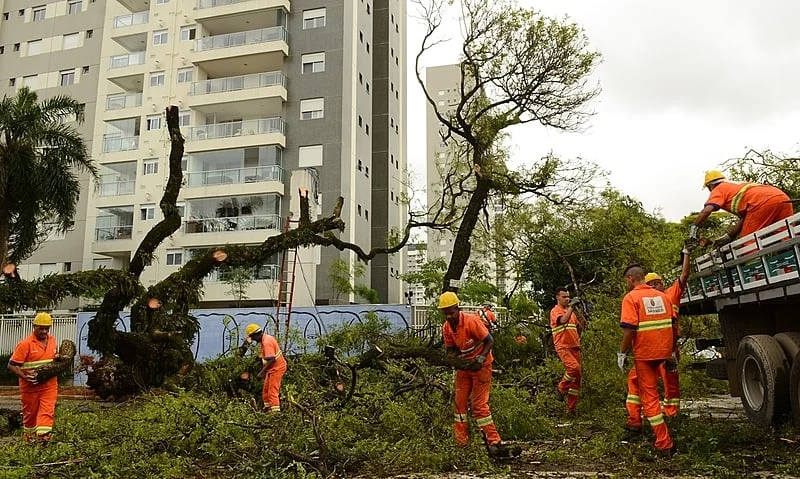 Temporal que caiu sobre São Paulo deixou rastro com pessoas mortas, árvores caídas e outros estragos | Crédito: Rovena Rosa/ Agência Brasil