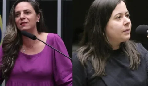 Melchionna e Sâmia propõem acolhimento a vítimas de violência doméstica em empresas