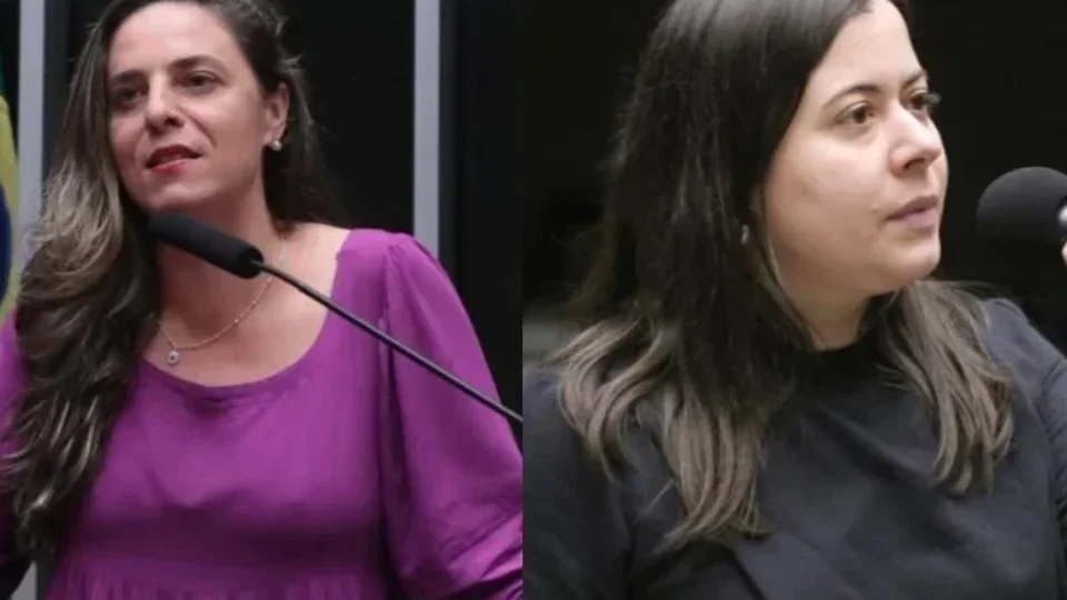 Melchionna e Sâmia propõem acolhimento a vítimas de violência doméstica em empresas