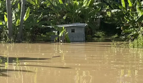 Enchente destrói mais de 10 mil pés de banana em aldeia indígena no Acre