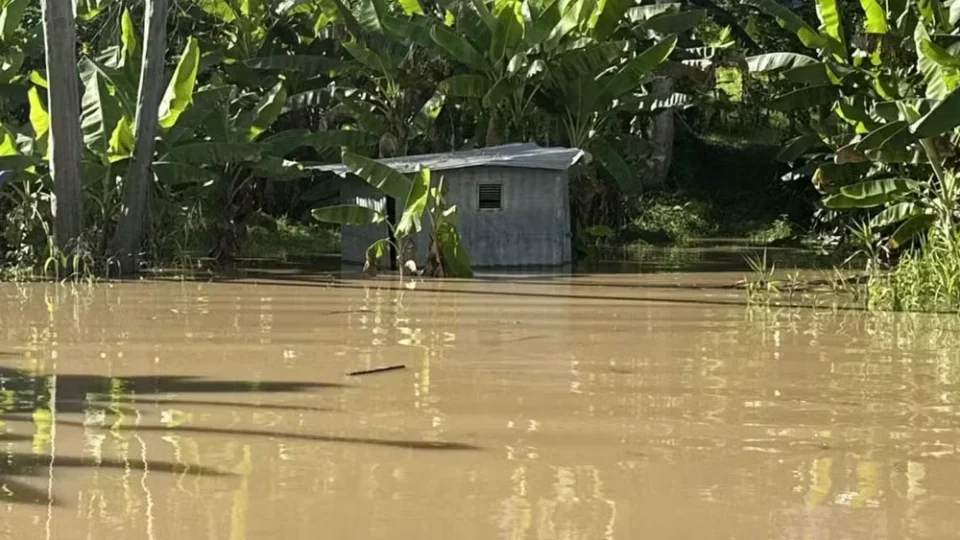 Enchente destrói mais de 10 mil pés de banana em aldeia indígena no Acre