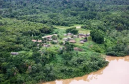 Relatório aponta persistência de gado invasor em terra indígena e conexão com prefeitura