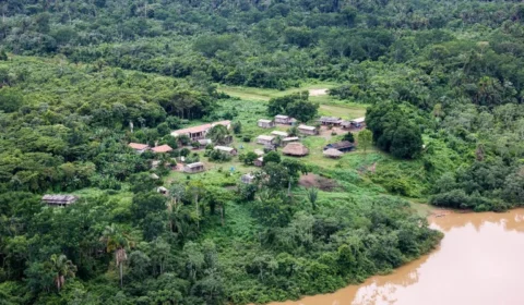Relatório aponta persistência de gado invasor em terra indígena e conexão com prefeitura