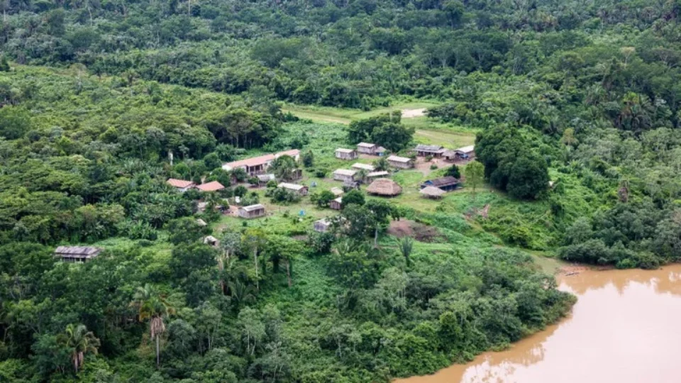 Relatório aponta persistência de gado invasor em terra indígena e conexão com prefeitura