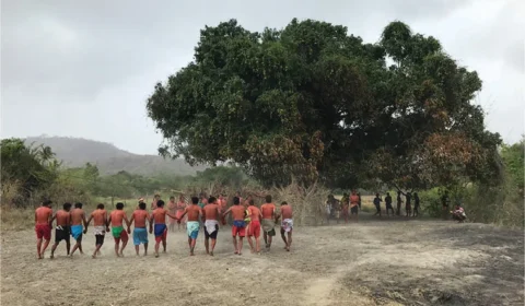 MPF investiga surto de diarreia em Aldeia Maxakali e denúncias de racismo em atendimento