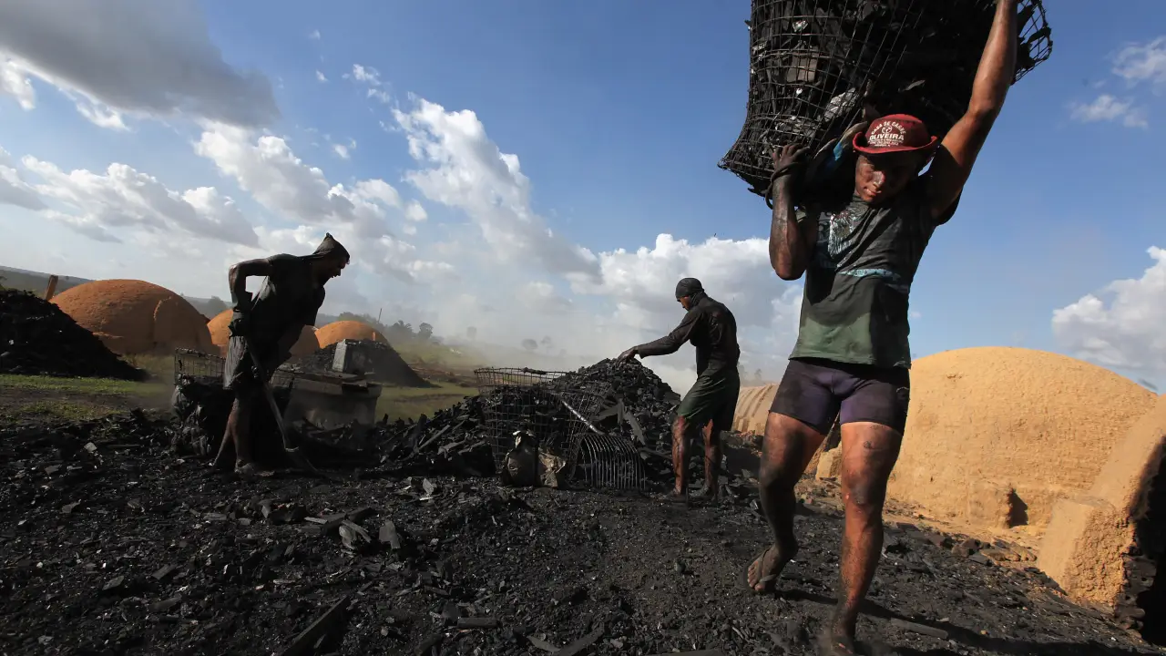 Trabalho análogo a escravidão no Brasil Segundo o MTE, entre os setores com maiores índices de uso de trabalho em situação análoga à escravidão estão a criação de bovinos para corte, serviços domésticos, cultivo de café e construção civil. Foto: Mario Tama/Getty Images