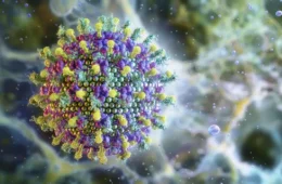Letalidade do Nipah vírus, em circulação na Índia, pode chegar a 75% e preocupa Ásia