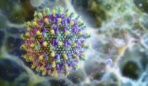 Letalidade do Nipah vírus, em circulação na Índia, pode chegar a 75% e preocupa Ásia