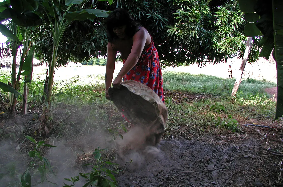 Na imagem, uma mulher do povo Kuikuro deposita cinzas em área onde realiza manejo para formação de terra preta, uma prática ancestral. Foto: Morgan Schmidt / UFSC