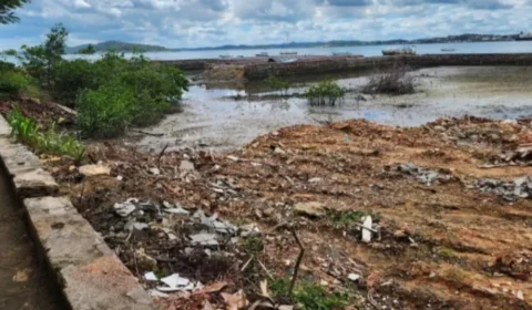 Fundação criada para defender meio ambiente na BA é acusada de desmatamento