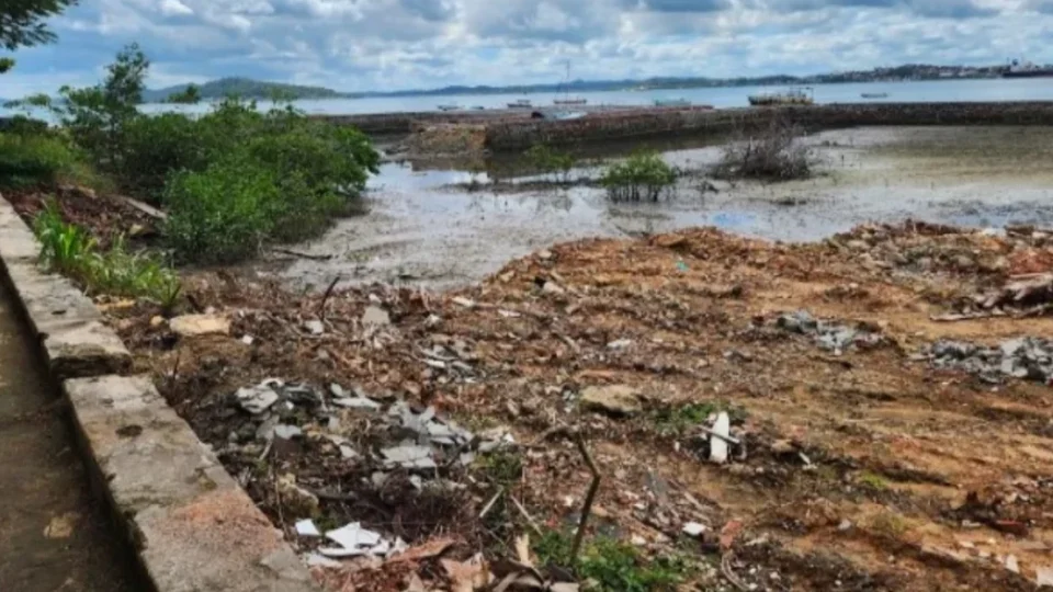 Fundação criada para defender meio ambiente na BA é acusada de desmatamento
