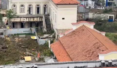 Moradores protestam contra derrubada de 71 árvores no Rio de Janeiro