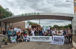 Anvisa aprova regulamentação do cultivo de Cannabis no Brasil para fins medicinais