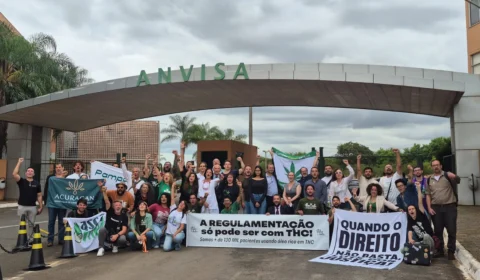 Anvisa aprova regulamentação do cultivo de Cannabis no Brasil para fins medicinais