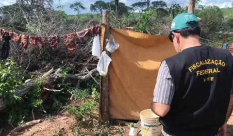 Paralisação de auditores trava operações às vésperas do Dia de Combate ao Trabalho Escravo