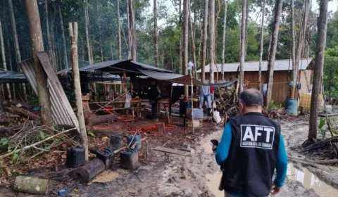No Brasil, 57% dos casos de trabalho escravo acontecem em atividades que devastam o ambiente