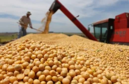 Supermercados europeus dão ultimato a tradings que deixaram a moratória da soja