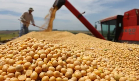 Supermercados europeus dão ultimato a tradings que deixaram a moratória da soja