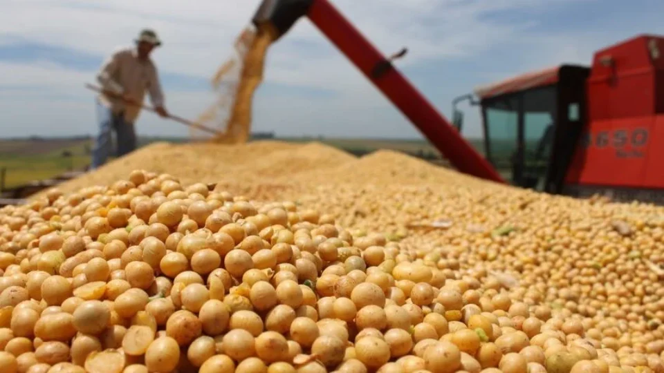Supermercados europeus dão ultimato a tradings que deixaram a moratória da soja