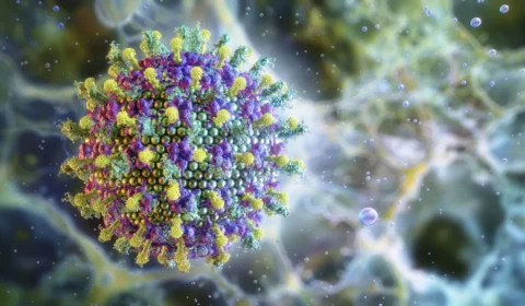 OMS dispensa restrições de viagem à Índia após casos de vírus Nipah