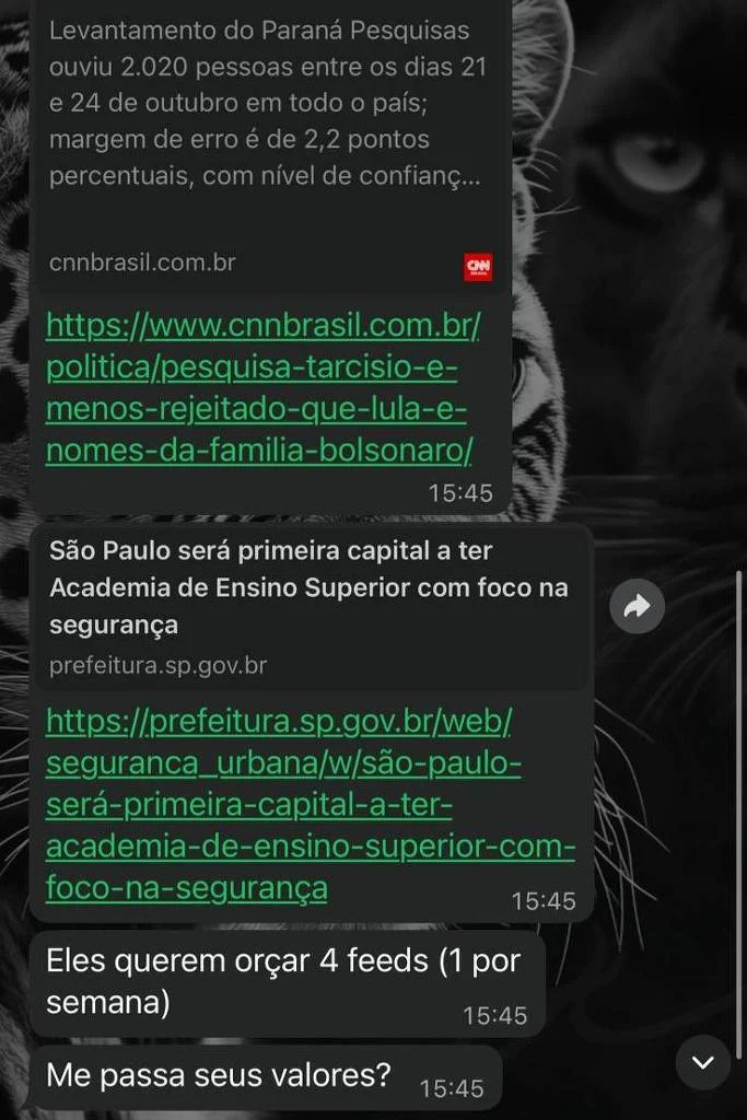 Prestadora de serviço da agência Mynd, Kamilla Cunegundes orçou publicações favoráveis ao governador Tarcísio de Freitas com perfil de fofoca - Arquivo pessoal