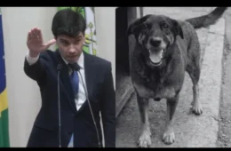 Por caso Orelha, promotoria do MP-SC vai investigar delegado-geral, que é pré-candidato