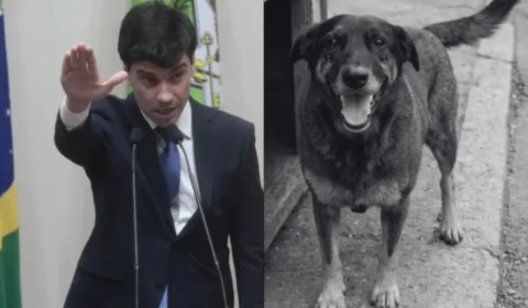 Por caso Orelha, promotoria do MP-SC vai investigar delegado-geral, que é pré-candidato