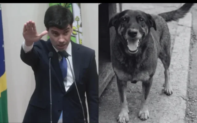 Por caso Orelha, promotoria do MP-SC vai investigar delegado-geral, que é pré-candidato