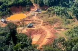 Lei do licenciamento ambiental entra em vigor com ações no STF