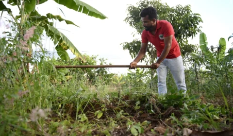Depois de 64 anos, área onde surgiu as Ligas Camponesas na Paraíba é regularizada