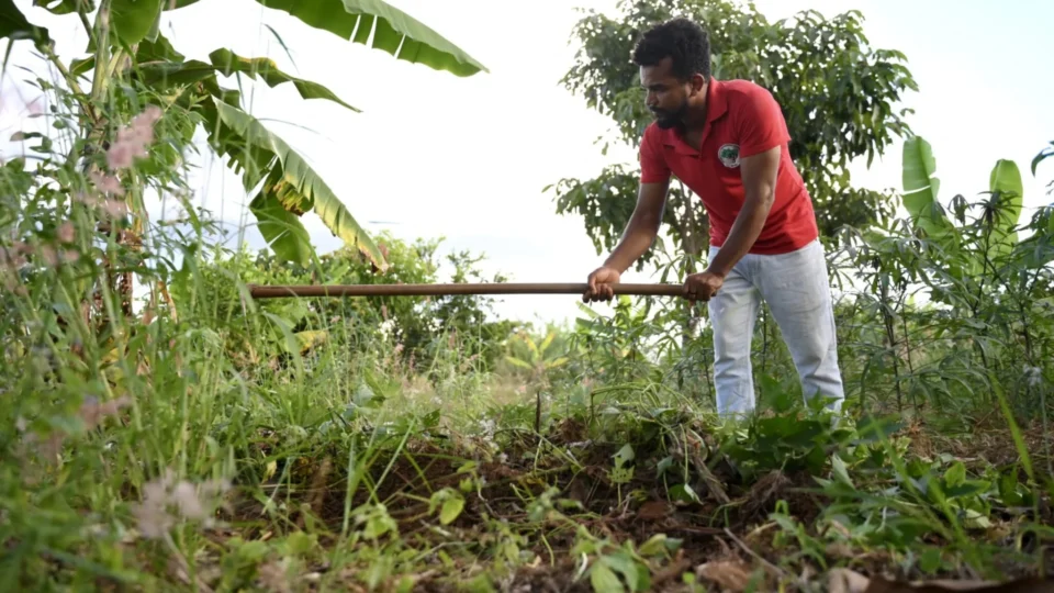 Depois de 64 anos, área onde surgiu as Ligas Camponesas na Paraíba é regularizada