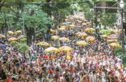 Carnaval pelo país chega a ter apenas 1 banheiro químico para até 2 mil foliões