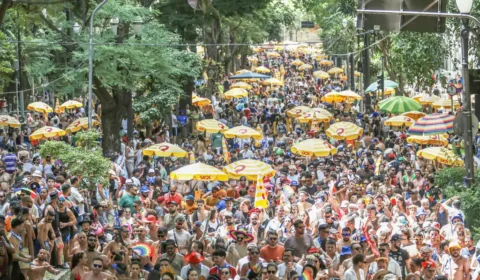 Carnaval pelo país chega a ter apenas 1 banheiro químico para até 2 mil foliões