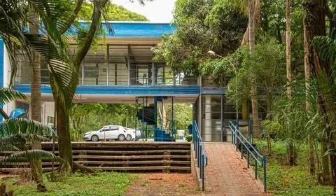 Unesp cria graduação em língua e cultura chinesas com dois anos de estudos na China