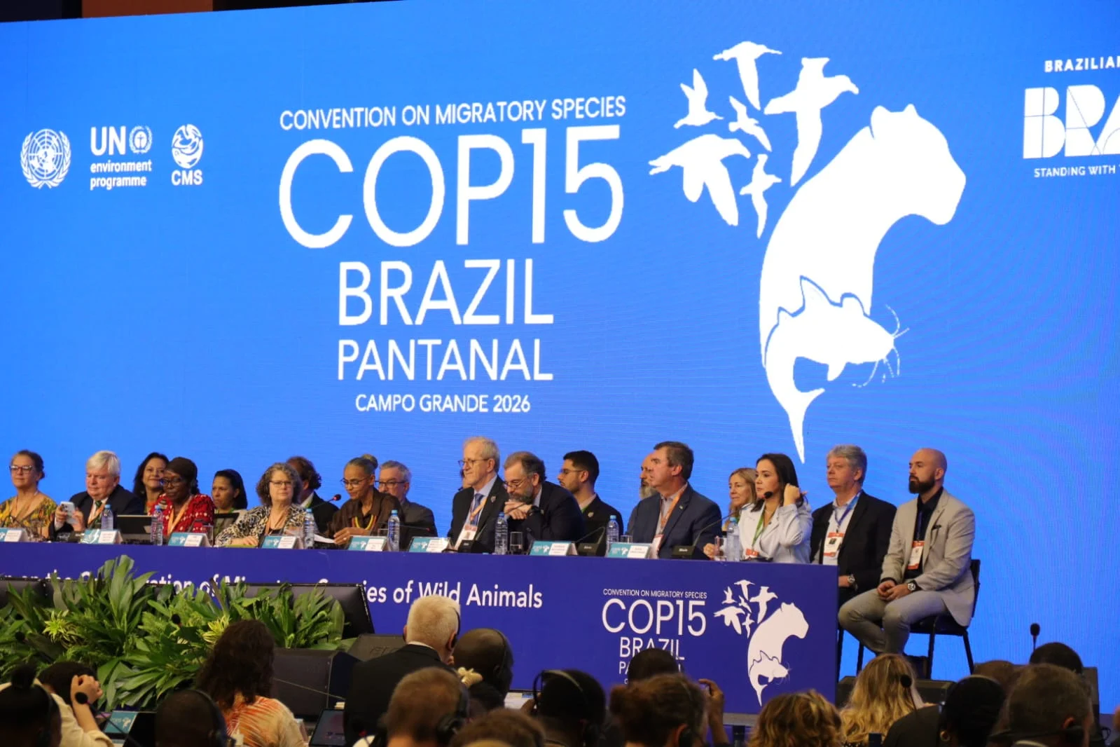 COP15 inclui mais 40 espécies em regras de proteção