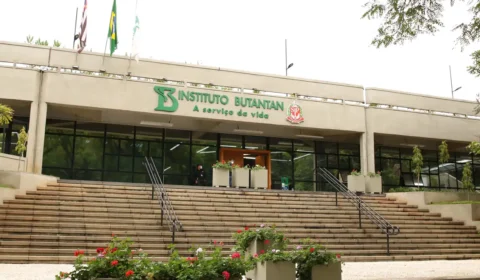 Butantan produzirá remédio contra câncer para o SUS