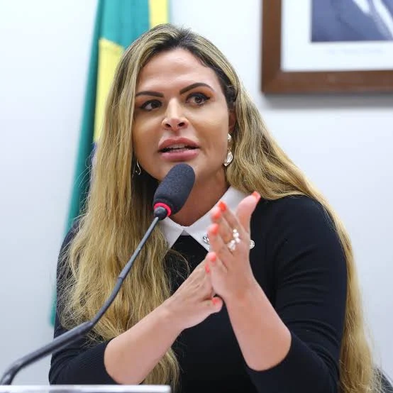 Silvye Alves (União-GO). Foto: Vinicius Loures/Câmara dos Deputados