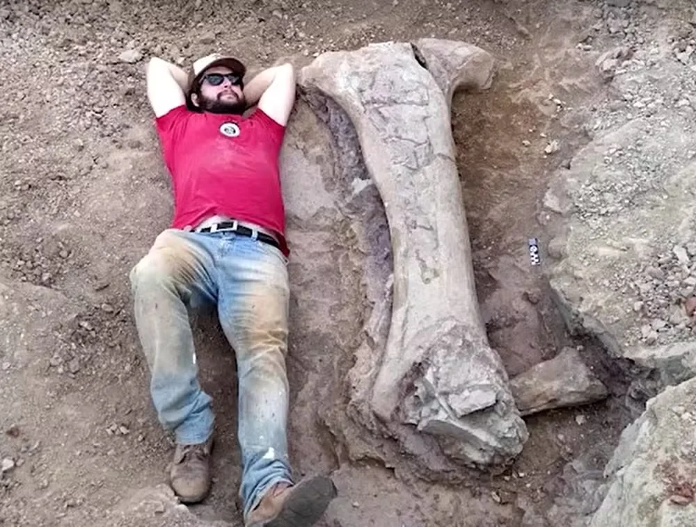 Paleontologista da Universidade Federal de Santa Maria, Leonardo Kerber, deitado ao lado do fóssil descoberto — Foto: Reuters