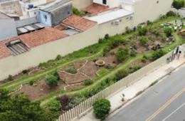 Como uma horta comunitária na Grande SP está combatendo a fome e o calor extremo