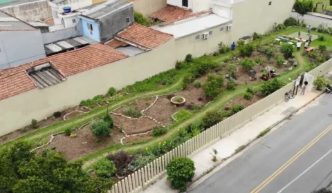 Como uma horta comunitária na Grande SP está combatendo a fome e o calor extremo