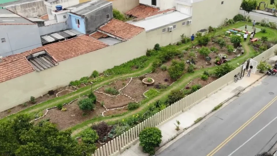 Como uma horta comunitária na Grande SP está combatendo a fome e o calor extremo