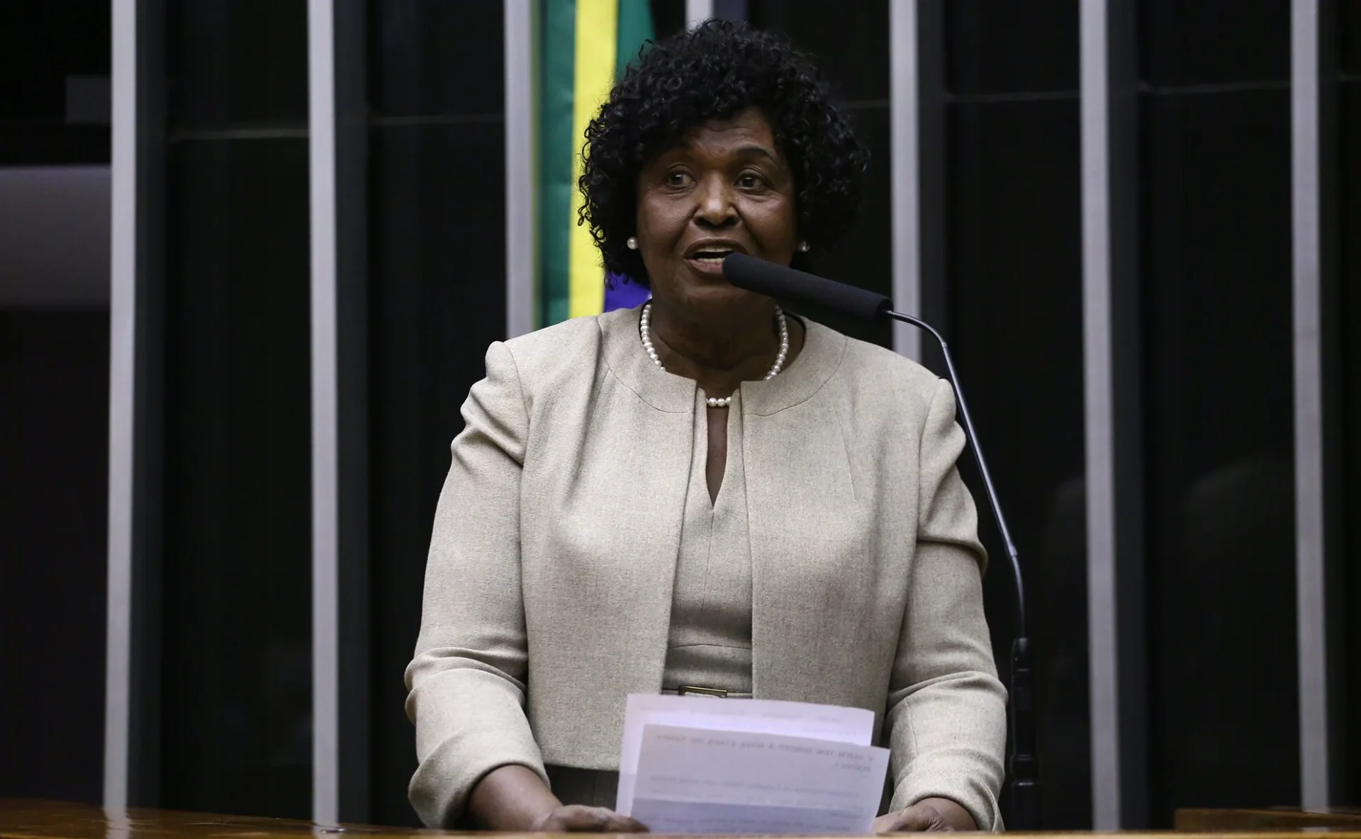 Deputada federal Benedita da Silva, presidenta da Comissão Especial sobre a PEC 27/24 | Crédito: Foto: Vinicius Loures/Câmara dos Deputados