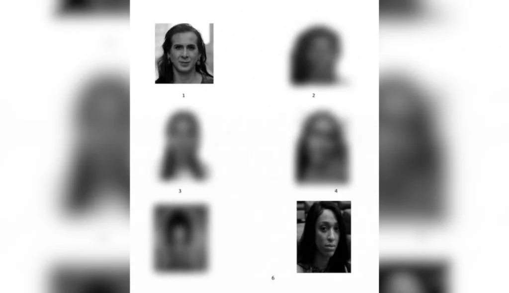 Deputadas têm fotos usadas como suspeitas em reconhecimento policial