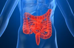 Veja cinco frutas que ajudam na saúde do intestino, segundo especialistas
