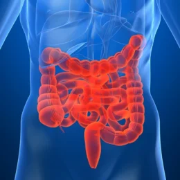 Veja cinco frutas que ajudam na saúde do intestino, segundo especialistas