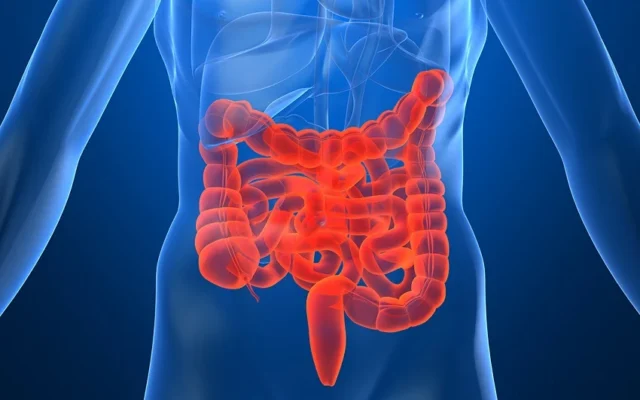 Veja cinco frutas que ajudam na saúde do intestino, segundo especialistas
