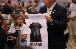 Em decreto ‘Justiça por Orelha’, governo Lula eleva multas por maus-tratos a animais