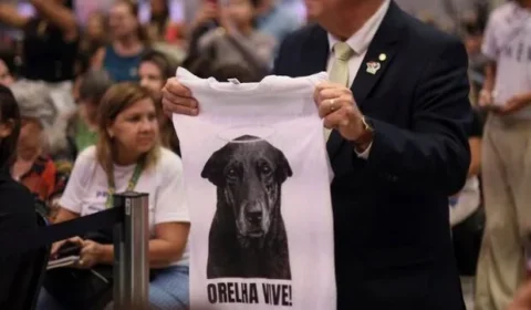 Em decreto ‘Justiça por Orelha’, governo Lula eleva multas por maus-tratos a animais