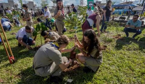 COP15 inclui mais 40 espécies em regras de proteção